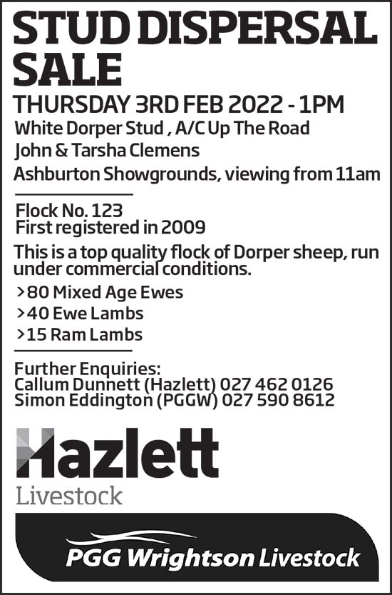 20 What's On Hazlett New zealand