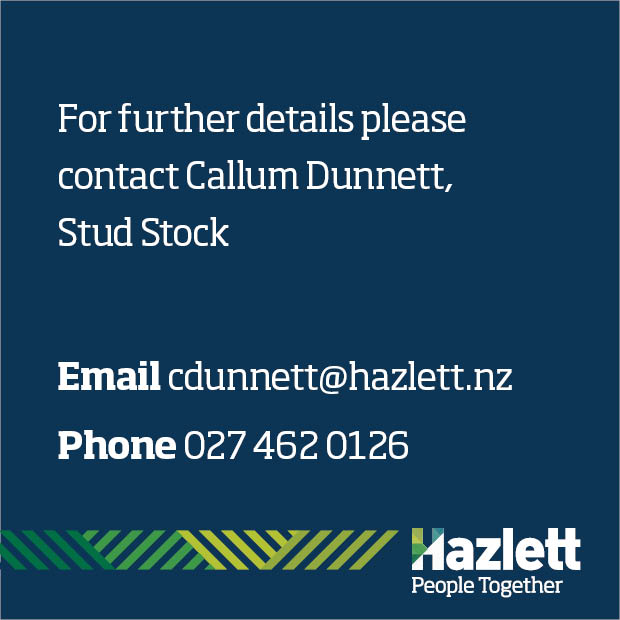 17 What's On Hazlett New zealand