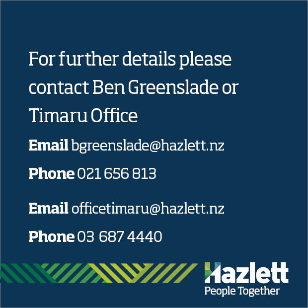 14 What's On Hazlett New zealand