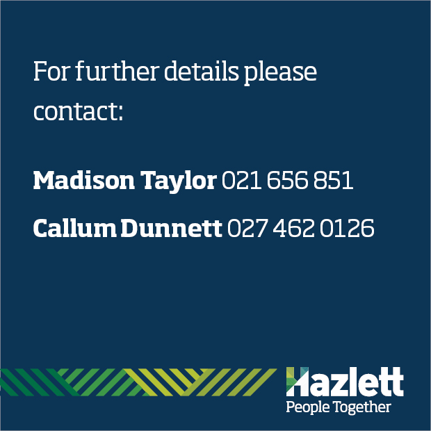 41 What's On Hazlett New zealand