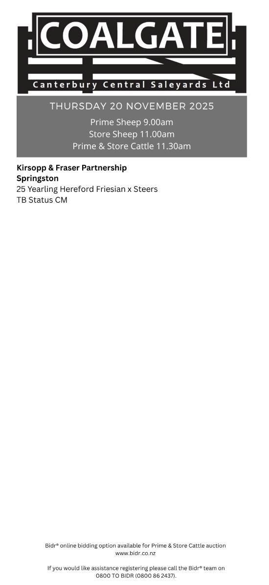 2 What's On Hazlett New zealand