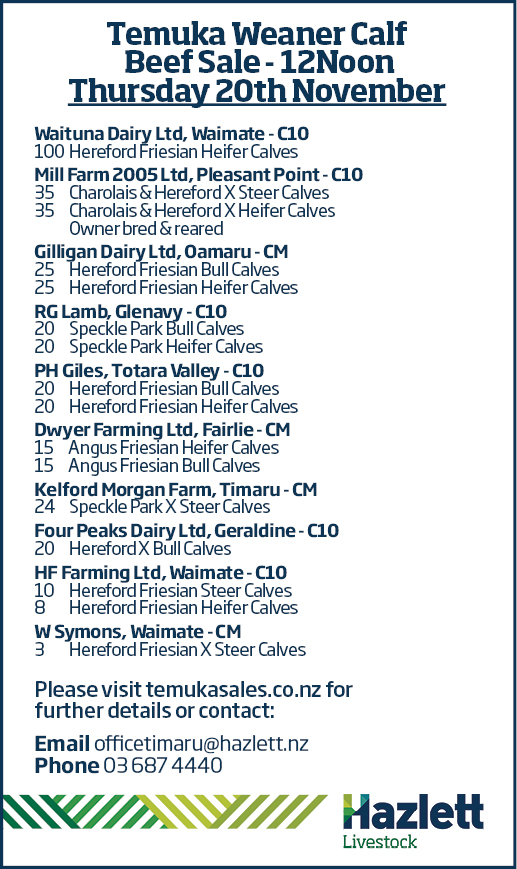 3 What's On Hazlett New zealand