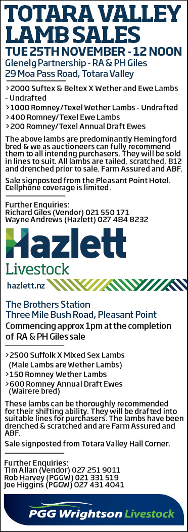 13 What's On Hazlett New zealand