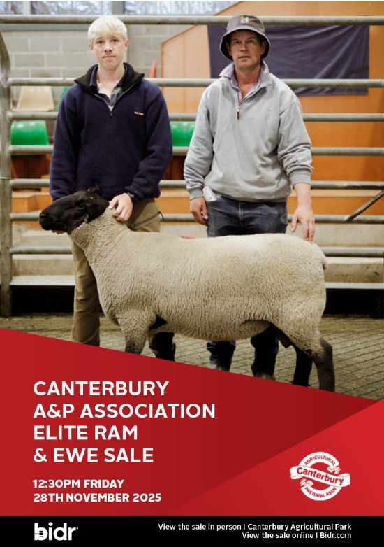 21 What's On Hazlett New zealand