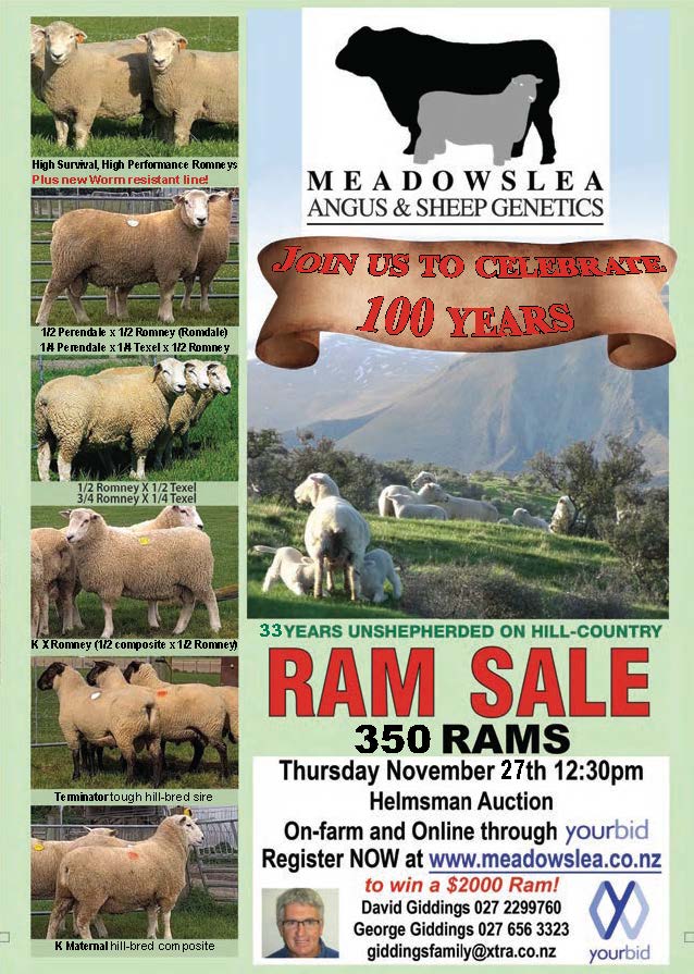 20 What's On Hazlett New zealand