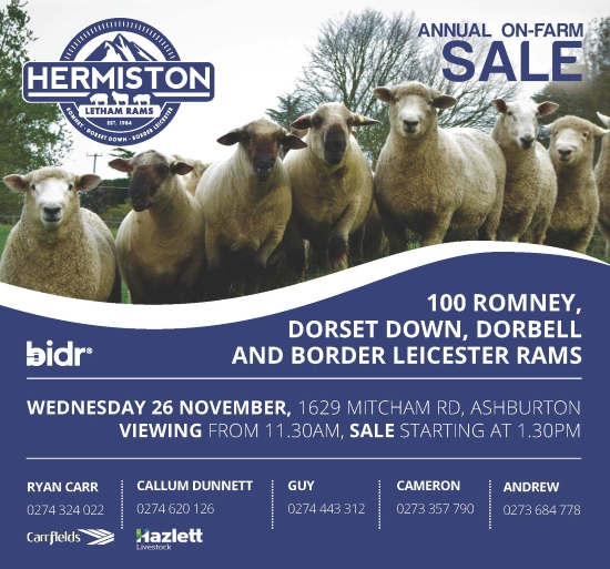 17 What's On Hazlett New zealand