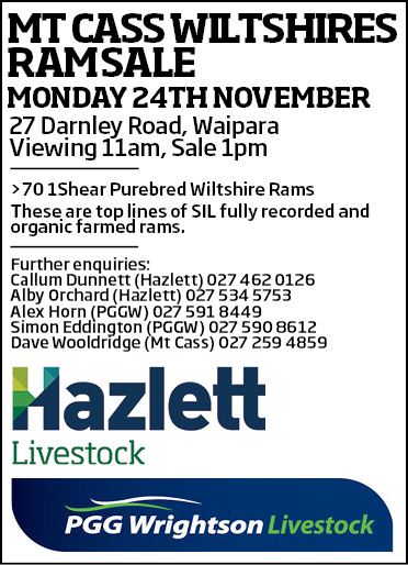 8 What's On Hazlett New zealand