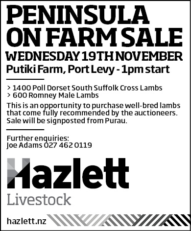 0 What's On Hazlett New zealand