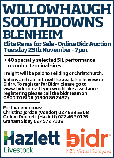 11 What's On Hazlett New zealand