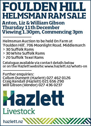 10 What's On Hazlett New zealand