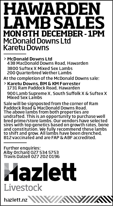 2 What's On Hazlett New zealand