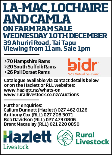 5 What's On Hazlett New zealand