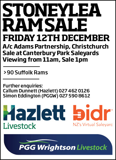 11 What's On Hazlett New zealand