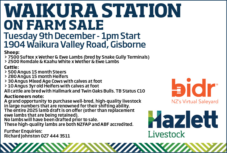 4 What's On Hazlett New zealand