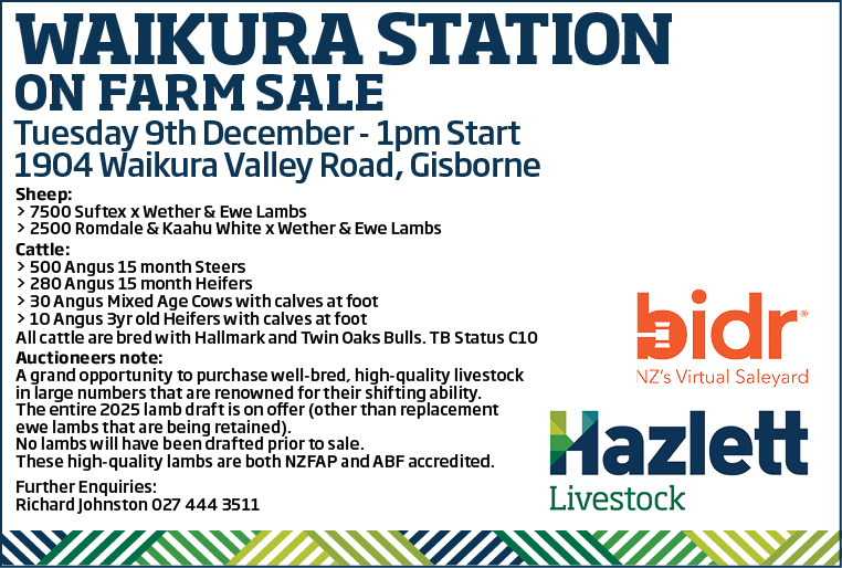 23 What's On Hazlett New zealand