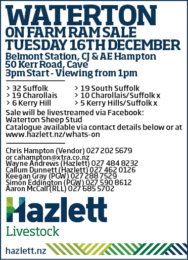 16 What's On Hazlett New zealand