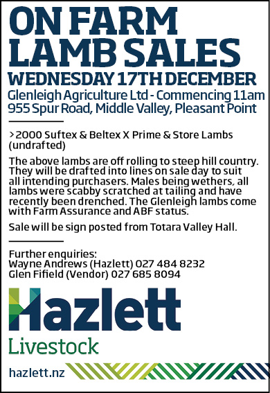 17 What's On Hazlett New zealand