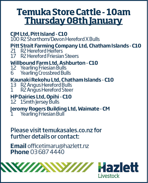 2 What's On Hazlett New zealand