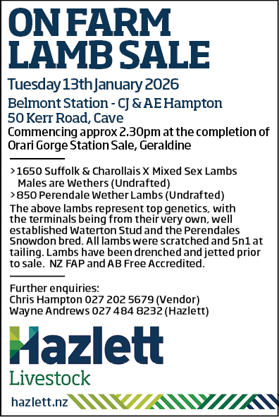 10 What's On Hazlett New zealand