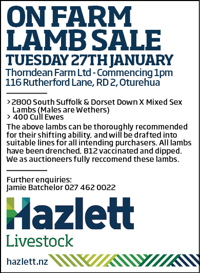 32 What's On Hazlett New zealand