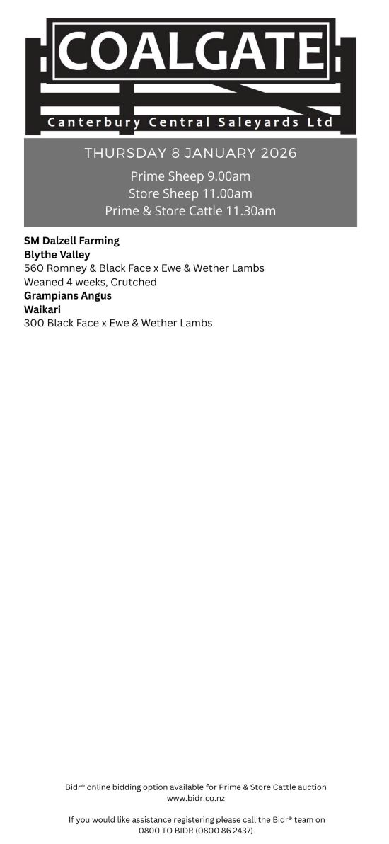 1 What's On Hazlett New zealand