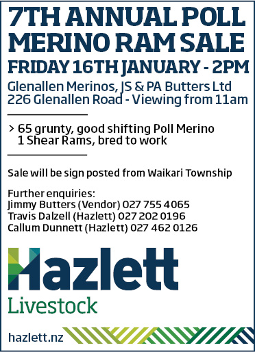 15 What's On Hazlett New zealand