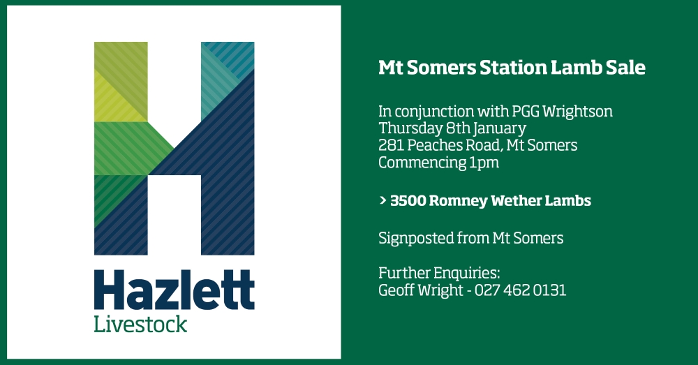 3 What's On Hazlett New zealand