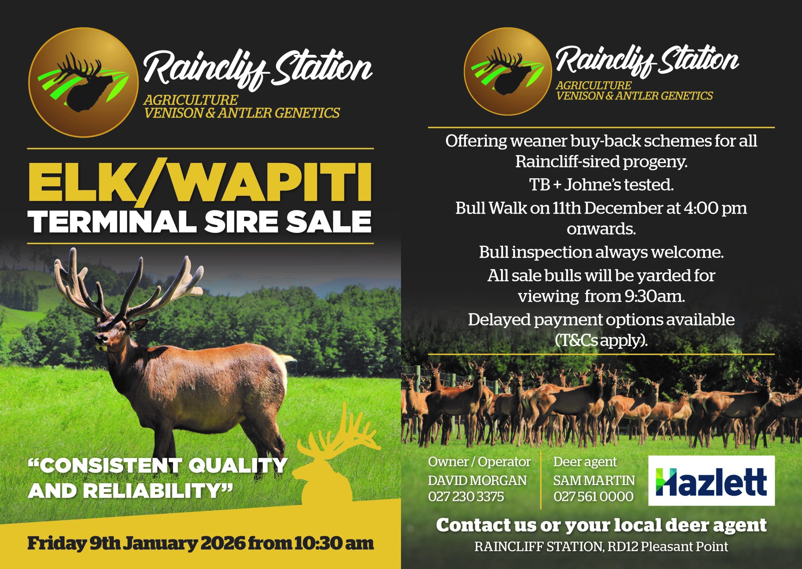 7 What's On Hazlett New zealand