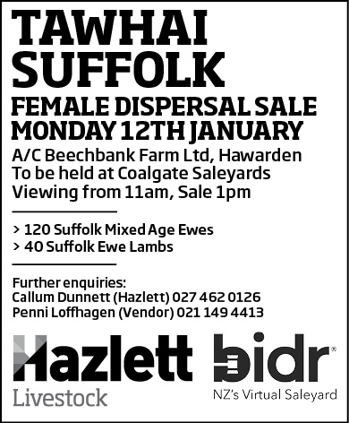 8 What's On Hazlett New zealand