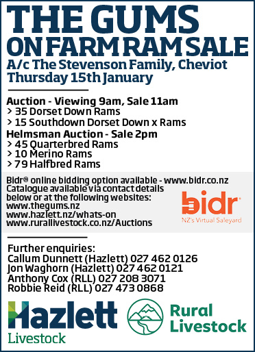 12 What's On Hazlett New zealand