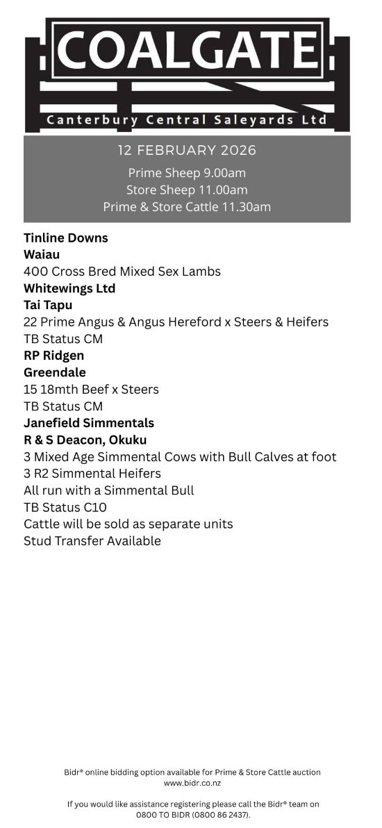 2 What's On Hazlett New zealand