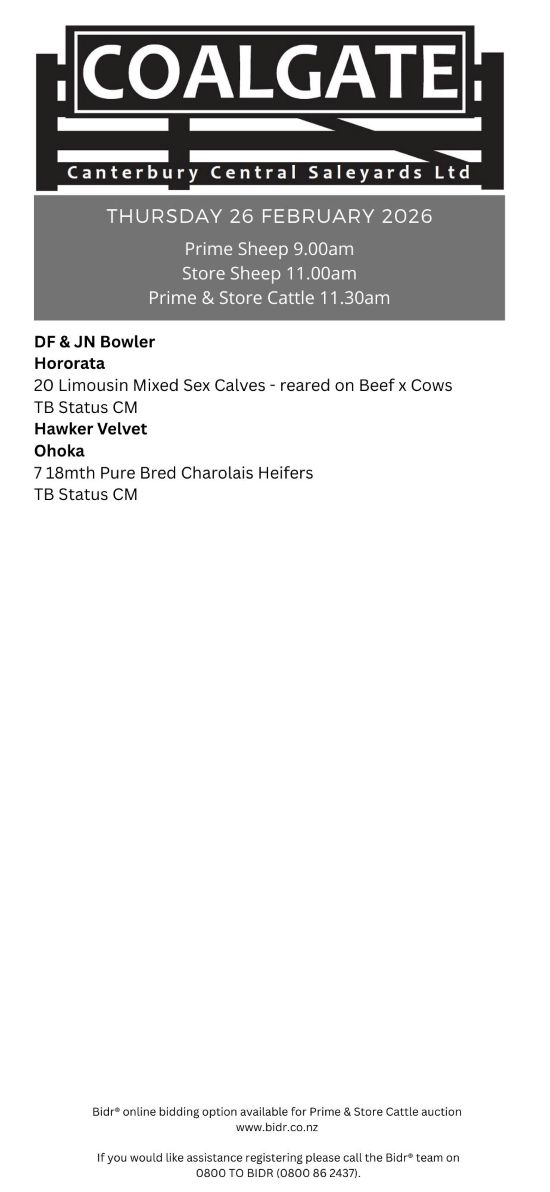 2 What's On Hazlett New zealand