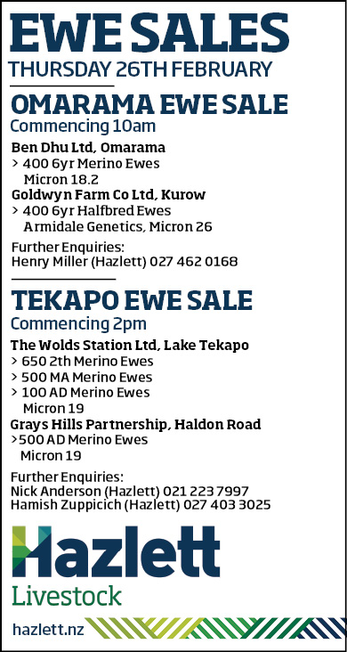 4 What's On Hazlett New zealand