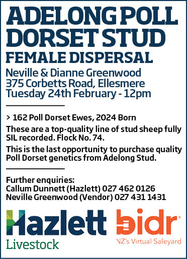 1 What's On Hazlett New zealand