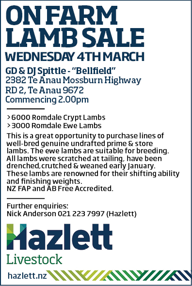 9 What's On Hazlett New zealand