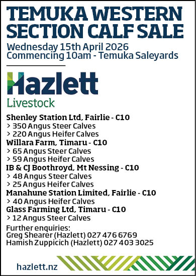 10 What's On Hazlett New zealand