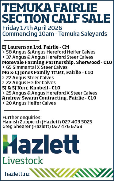 12 What's On Hazlett New zealand