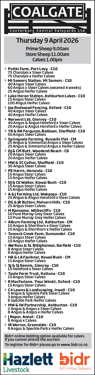 1 What's On Hazlett New zealand