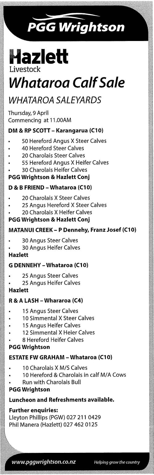 2 What's On Hazlett New zealand