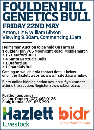31 What's On Hazlett New zealand