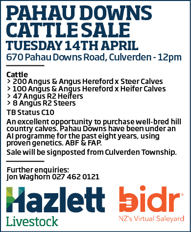 9 What's On Hazlett New zealand