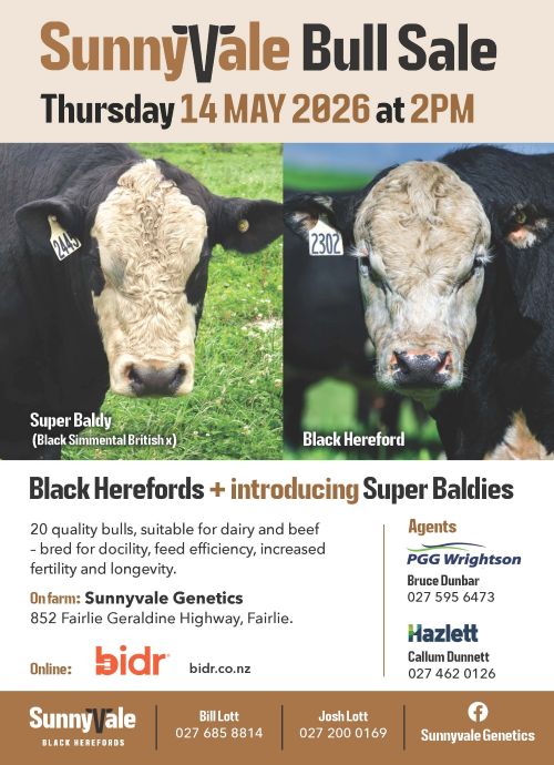3 What's On Hazlett New zealand