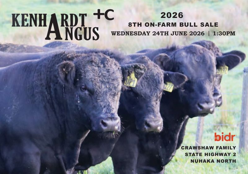 7 What's On Hazlett New zealand