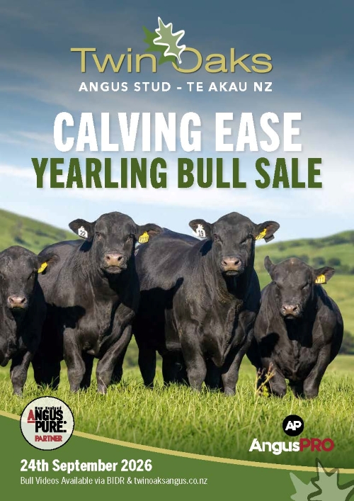 8 What's On Hazlett New zealand
