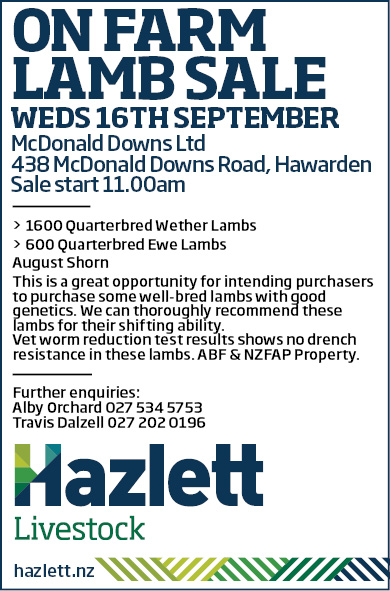 2 What's On Hazlett New zealand